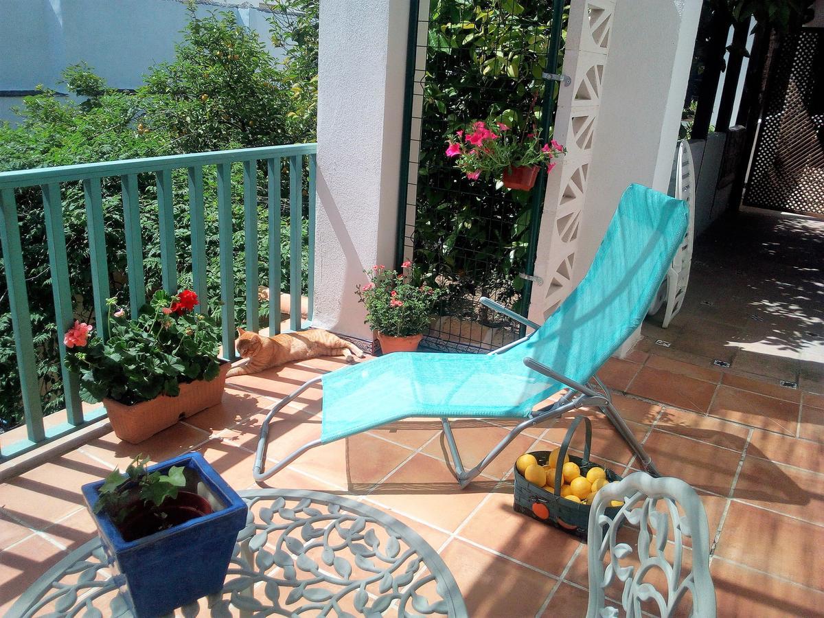 Patio Del Limonero Apartment Córdoba Exterior foto